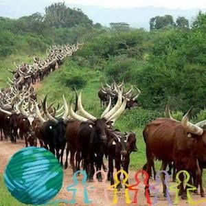 Meet your Posher, Moises